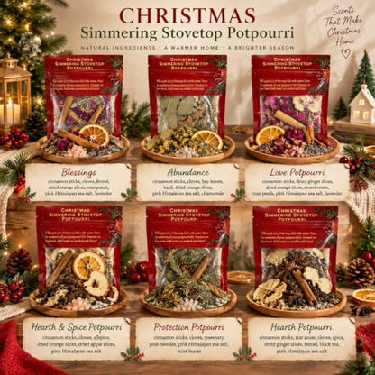 Simmer Pot Mix Set of 6 Holiday Scents - Seasonal Potpourri for Christmas & Winter