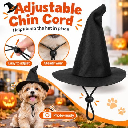 Mini Witch Hats 2-Pack - Black 6.3 Inch Pet & Decor Halloween Accessories