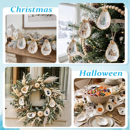 30PCS Flat Oyster Shells for Crafts 2-3 Inch Seashells Natural DIY Decor