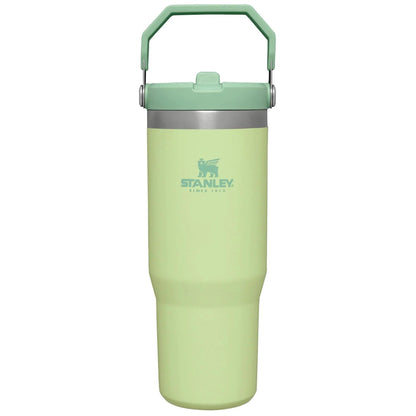 Stanley IceFlow Flip Straw Tumbler with Handle 30 oz | Twist On Lid and Flip Up Straw | Leak Resistant Water Bottle | Insulated Stainless Steel |BPA-Free | Citron