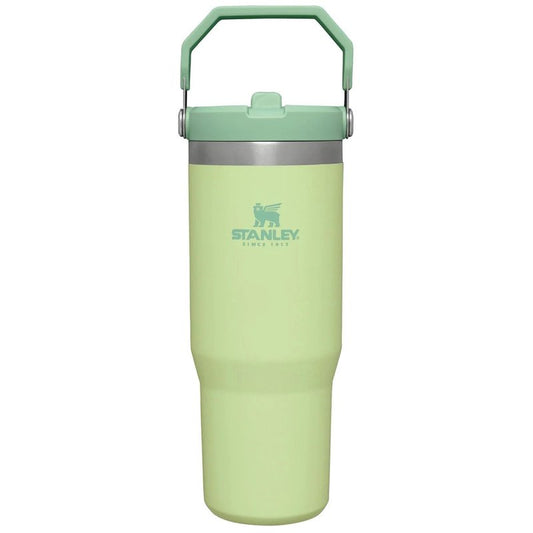 Stanley IceFlow Flip Straw Tumbler with Handle 30 oz | Twist On Lid and Flip Up Straw | Leak Resistant Water Bottle | Insulated Stainless Steel |BPA-Free | Citron