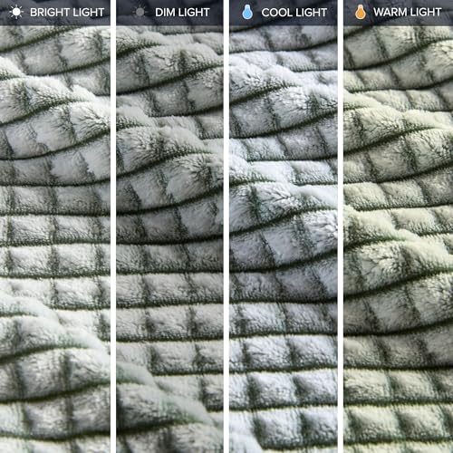 King Green Plush All-Season Microvelour Blanket - Cozy Safe & Soft