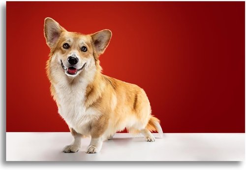 Best Photo Printing Service - Premium Custom Photo Prints on Glossy or Matte Paper | Multiple Sizes Available