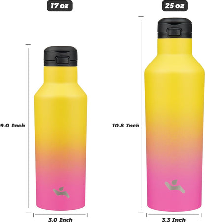 Skiennix Insulated Water Bottle - 17 OZ Double Wall Vacuum Stainless Steel Flask with Straw | Rainbow Finish