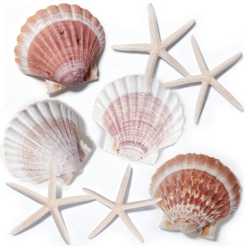 Beach Theme Coastal Decor Set with Shells and Starfish for Crafts and Weddings