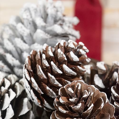 ANDALUCA Frosted Pinecone Vase Fillers - Scented Holiday Decor, 1 Bag
