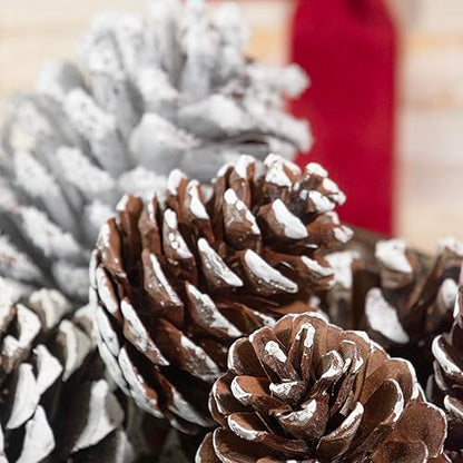 ANDALUCA Frosted Pinecone Vase Fillers - Scented Holiday Decor, 1 Bag