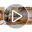 Christmas Potpourri Set with Essential Oil - Vase Filler & Home Fragrance