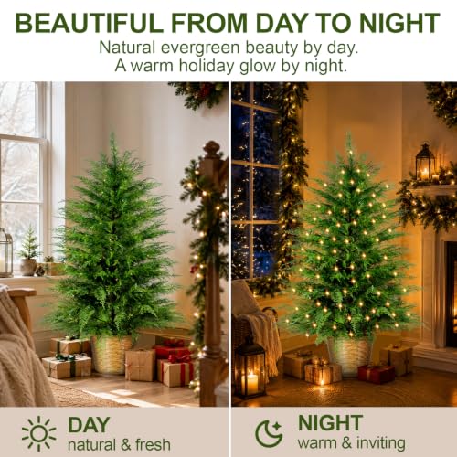 3ft Prelit Artificial Cedar Christmas Tree with Lights - Indoor Outdoor Decor