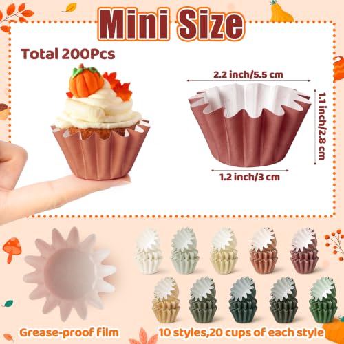 Mini Fall Cupcake Liners 200 Pack - 10 Styles, Dark Colors