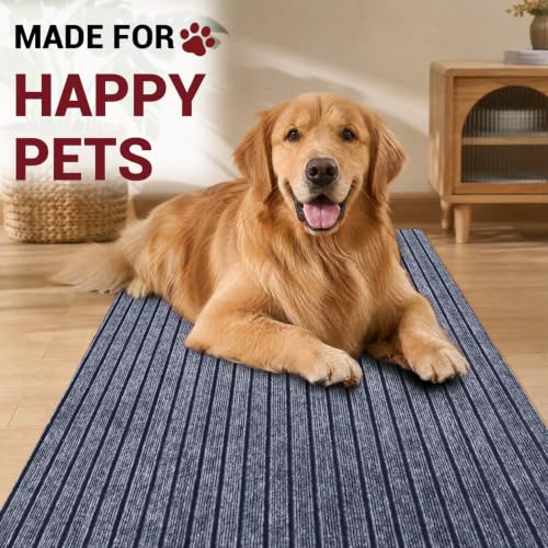 Gray Striped Runner Rug 3x10 Ft Non-Slip Rubber Backing Indoor Outdoor