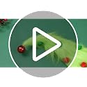 Furry Green Elf Christmas Tree Topper - 9.84 Inch Holiday Decor, Variation: Faux Fur / Green Elf