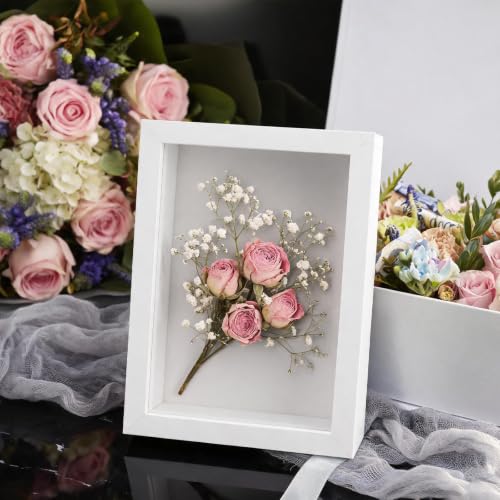 12 Pack Small Wood Shadow Box Frames 4x6 Inch for Dried Flowers Photos Memorabilia