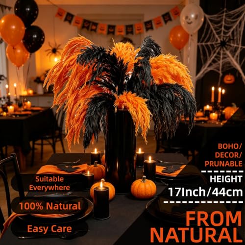 Halloween Black and Orange Pampas Grass for Fall Decor - 17 Inches
