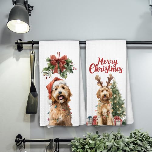 Christmas Goldendoodle Kitchen Dish Towels Set of 2 - Goldendoodle-4