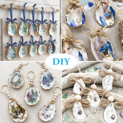 3-4 Inch Flat Oyster Shells for Crafts Seashells Pack of 30