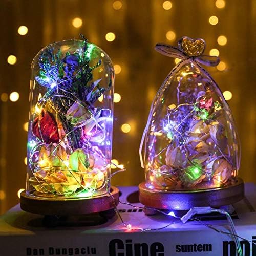 Skiennix Waterproof LED String Lights - 2 Pack 20ft 60 LED Fairy Lights | Multicolor Copper Wire Decor