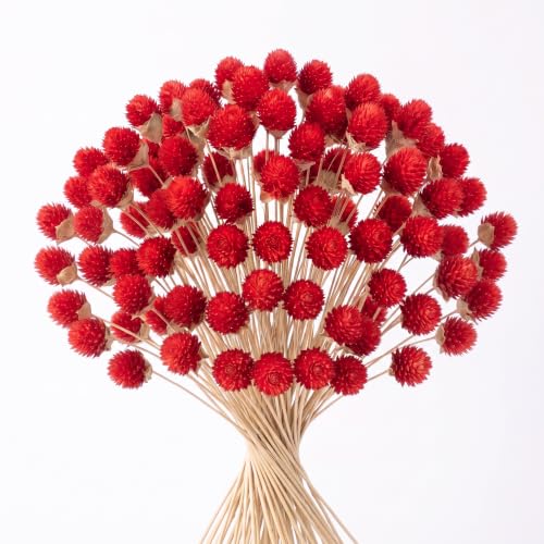 40 Pcs Dried Globe Amaranth Flowers - Red Floral Bouquet for DIY & Decor