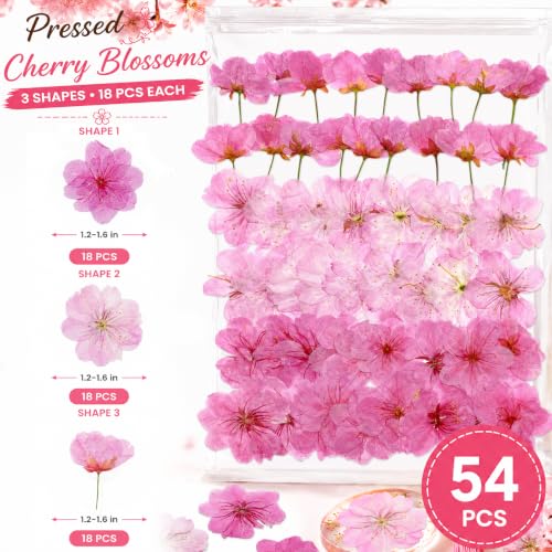 Pressed Edible Cherry Blossom Flowers for Cakes & Cocktails - 54 PCS