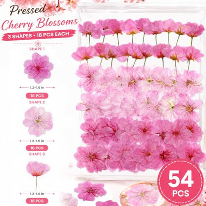Pressed Edible Cherry Blossom Flowers for Cakes & Cocktails - 54 PCS