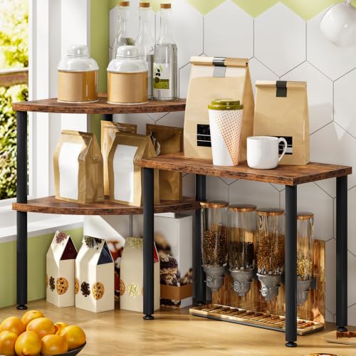 Countertop Corner Shelf Organizer for Kitchen & Bathroom, 3-Tier Spice Rack