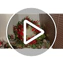 Artificial Red Berry Stems for Christmas Decorations Set of 35