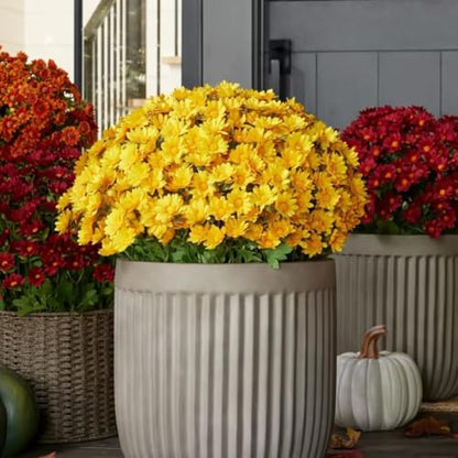 Artificial Fall Mums UV Resistant for Outdoors - Sunset Chrysanthemum (5 Bundles, Gold)
