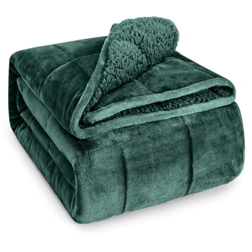 Weighted Blanket for Adults 15 lbs Queen 60x80 Green - Sherpa Fleece
