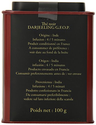 Dammann Freres Loose Leaf, India Darjeeling Premium Gourmet Black French Tea, Peach, Almond Flavors, 3.52 Ounce Tin