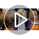 Halloween Witch Porch Goose Costume with Lace Spider Web Hat - Black2