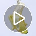 Peeled Banana Glass Blown Christmas Ornament - 4 Inches, Pack of 2