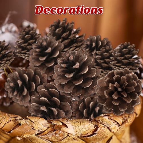 50 Pack Natural Pine Cones for Crafts and Holiday Decor - 1.96 Inches with Gold String - Rustic Christmas Ornaments & Table Decorations