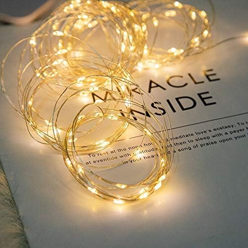 LIIDA LED Fairy String Lights - 12-Pack of 20 Micro Lights on Silver Copper Wire | Warm White for DIY Decor