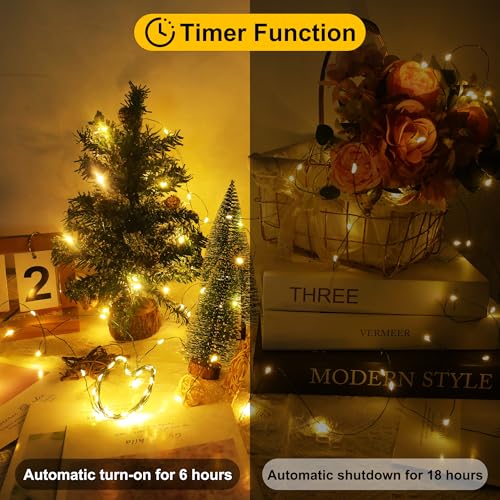 LED Fairy Lights 34Ft Battery Operated 100 Micro LEDs 8 Modes with Timer - Dark Green Copper & Warm White - Variation of 100 LED