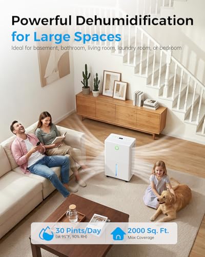 Dehumidifier for Basement with Drain Hose - Snow White