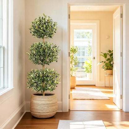 Artificial Olive Tree 5ft with White Planter & Moss - Three Ball Topiary (Variation 1)