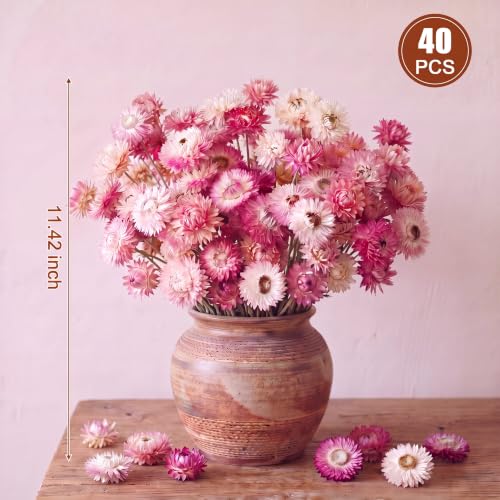 40 Pcs Natural Dried Daisy Flower Bouquet with 11.5" Stems - Pink