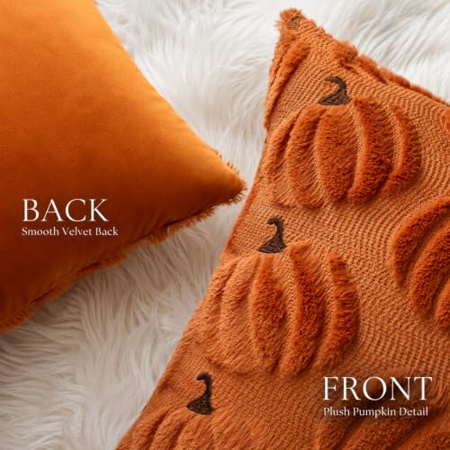 Orange Pumpkin Fall Pillow Covers 18x18 Set of 2 Plush Thanksgiving Decor