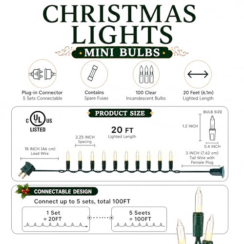 TW SHINE Warm White Outdoor Christmas String Lights 20FT 100 Count Waterproof Indoor Decoration