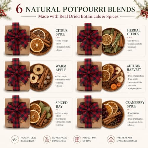 Christmas Simmer Pot Gift Set - 6 Fragrances, Rustic Farmhouse Decor