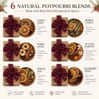 Christmas Simmer Pot Gift Set - 6 Fragrances, Rustic Farmhouse Decor