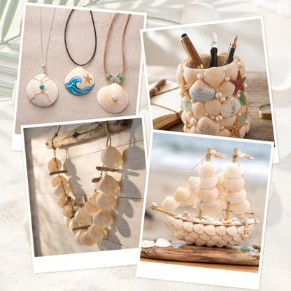 Natural Seashells for Crafts, 50 Pack 1.2-2 Inch Seashells for DIY Decor