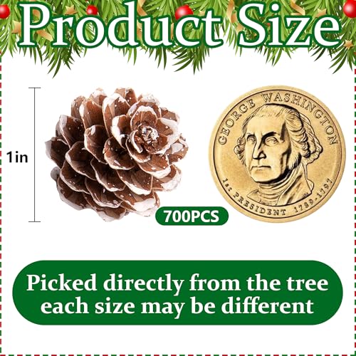Snow 700 Pcs Christmas Natural Mini Pine Cones - Small Xmas Snow Pinecones Decor