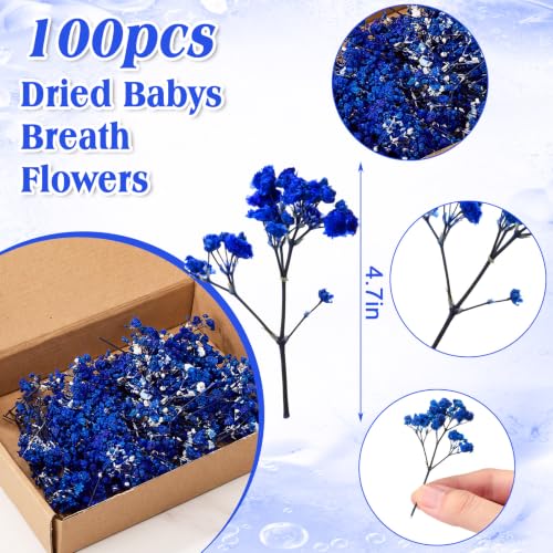 Mini Dried Baby's Breath Flowers - Royal Blue, 100 Pcs for Wedding Decor & Crafts