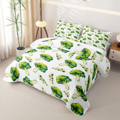 Homewish Broccoli Vegetable Quilt Set Queen Size for Girls Boys Teens - Green Vegetables 01