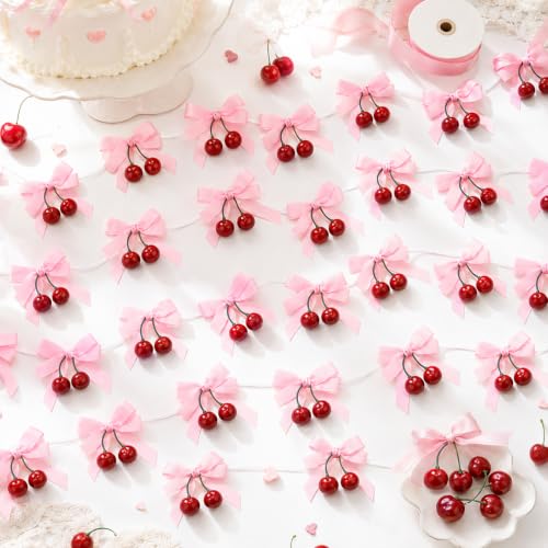 Cherry Party Decorations Set with Pink Bow Garlands for Birthday Baby Shower Wedding