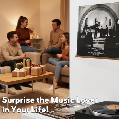 Brown Vinyl Record Wall Shelf Set - 3 Pieces Rubberwood Record Holders
