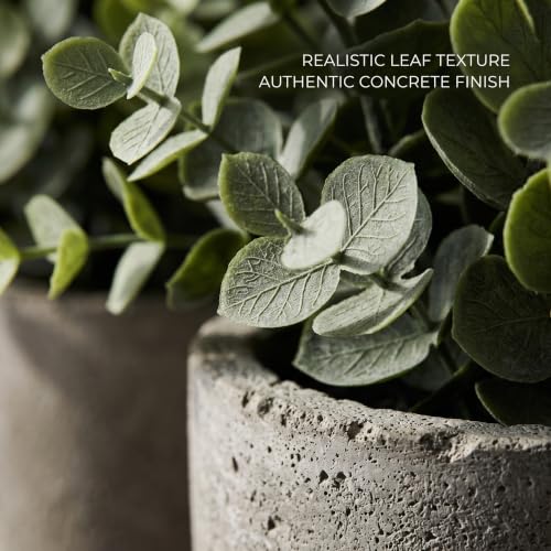 6 Pack Artificial Succulents and Eucalyptus Plants with Cement Pots for Indoor Decor