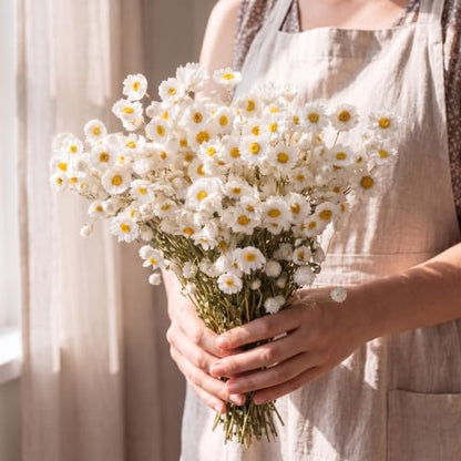 100 Pcs Dried Daisy Flowers Bouquet for Wedding Decor White - Natural & Lush