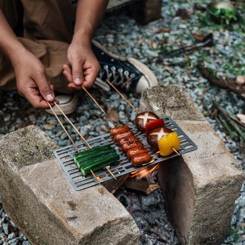 iBasingo Titanium Charcoal BBQ Grill Plate Ultralight Baking Cooling Rack Heavy Duty Dining Cooking Roasting Kitchen Utensils for Outdoor Camping Hiking A-Ti2021C